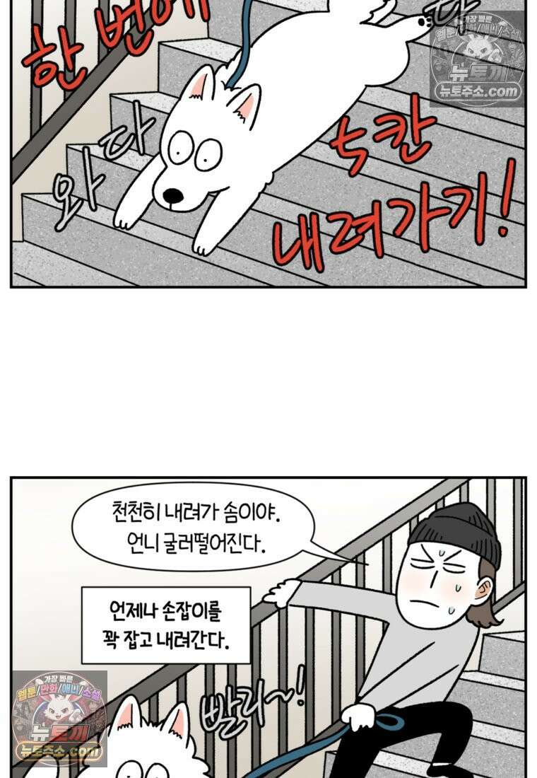 극한견주 시즌2 61화 계단과 개 3