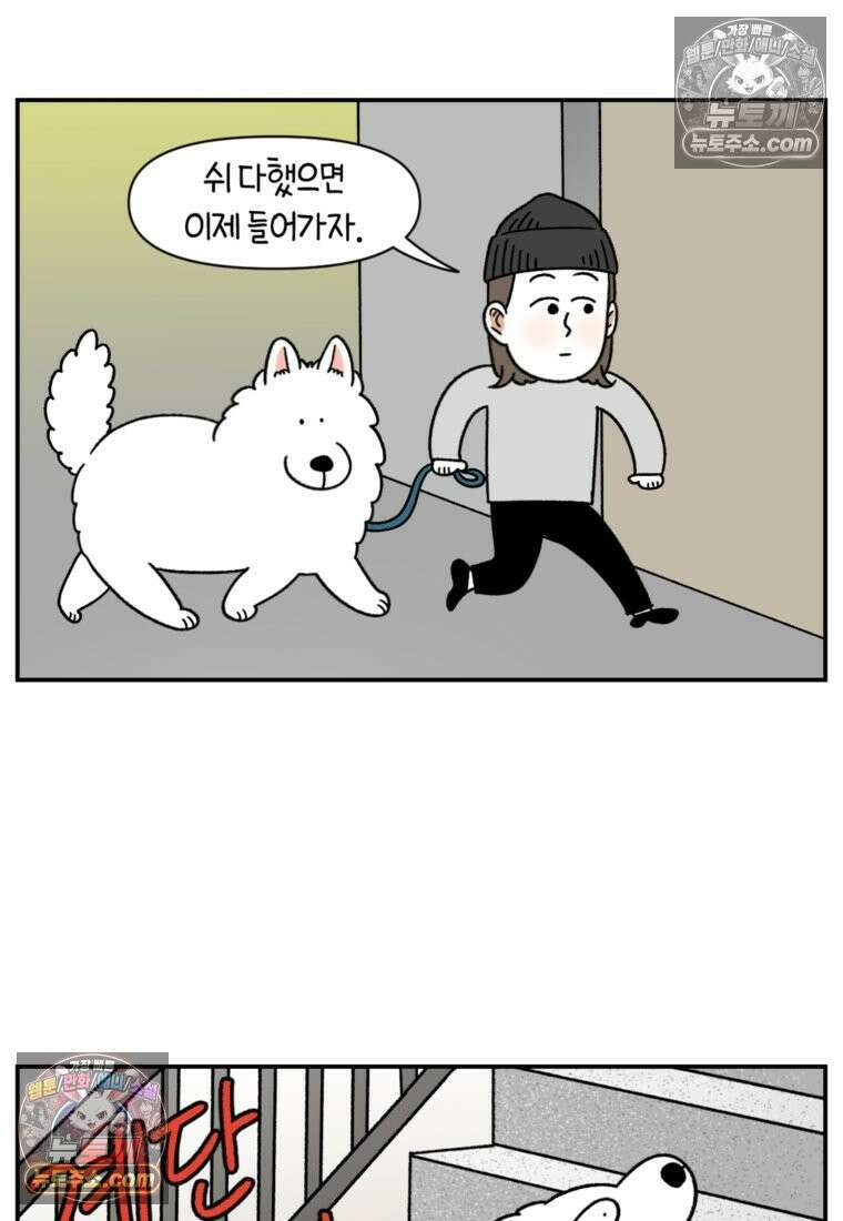 극한견주 시즌2 61화 계단과 개 5
