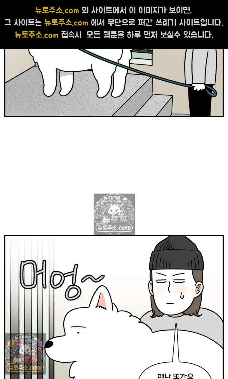 극한견주 시즌2 61화 계단과 개 8