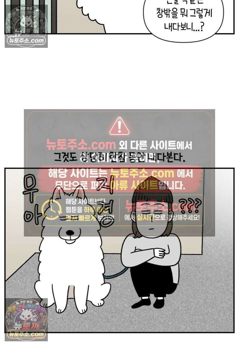 극한견주 시즌2 61화 계단과 개 9