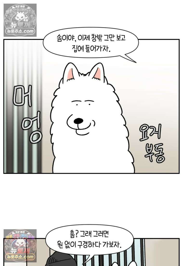 극한견주 시즌2 61화 계단과 개 10