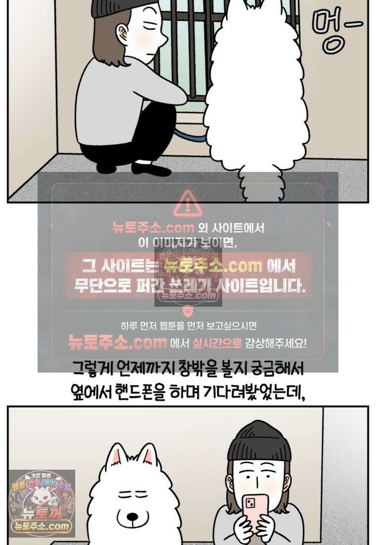 극한견주 시즌2 61화 계단과 개 11