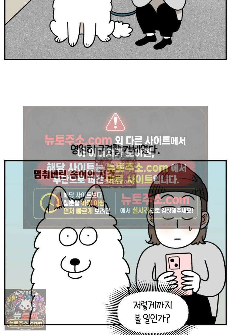 극한견주 시즌2 61화 계단과 개 12