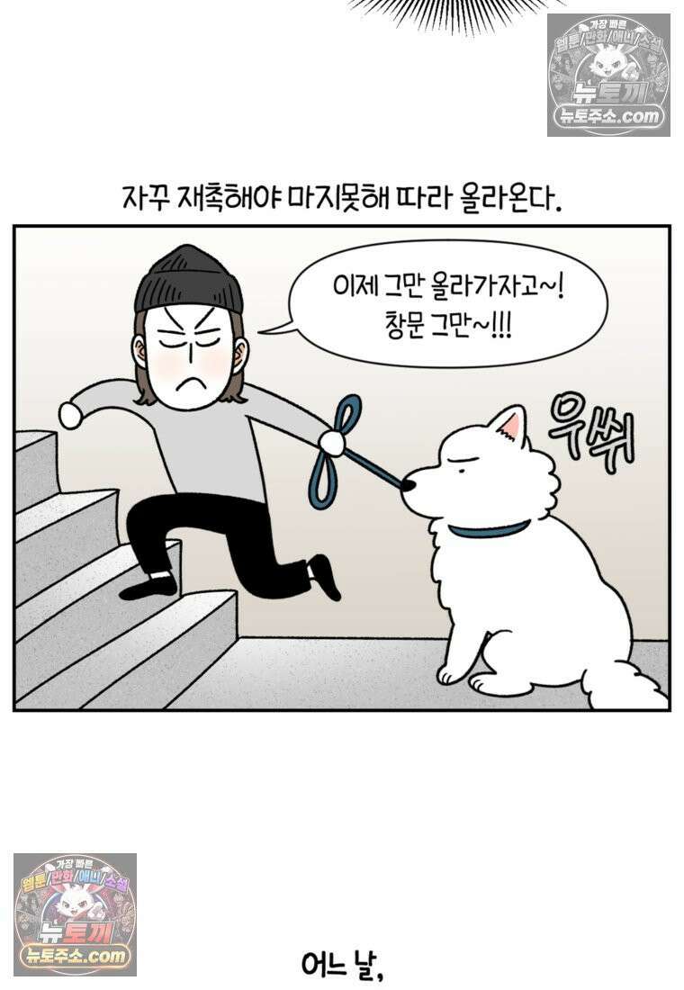 극한견주 시즌2 61화 계단과 개 13