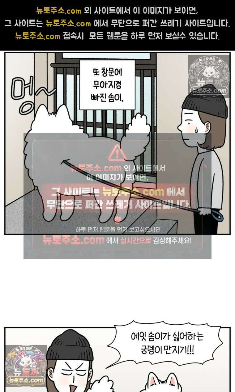 극한견주 시즌2 61화 계단과 개 14