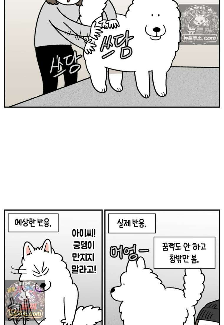 극한견주 시즌2 61화 계단과 개 15