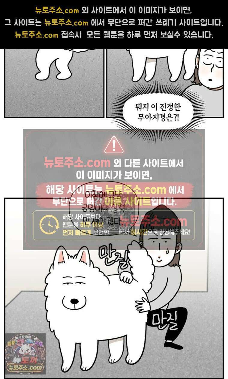극한견주 시즌2 61화 계단과 개 16