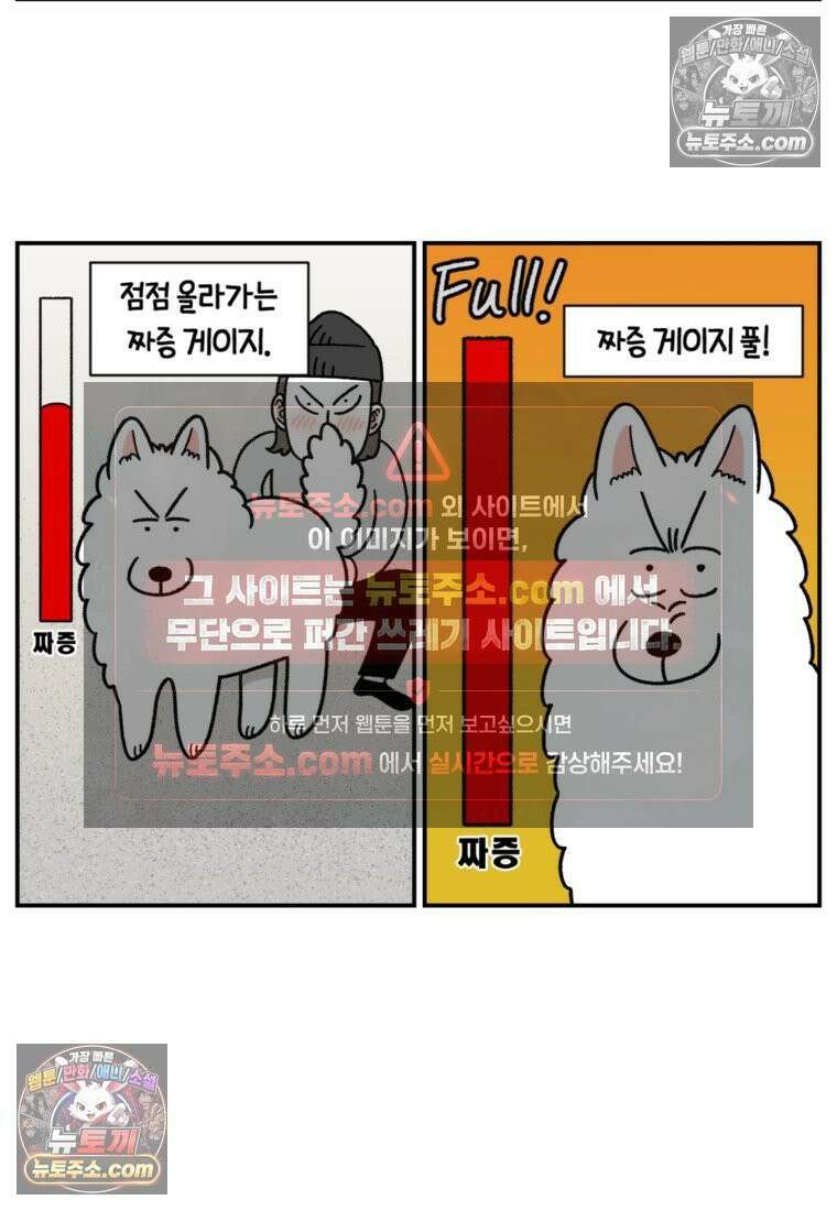 극한견주 시즌2 61화 계단과 개 17