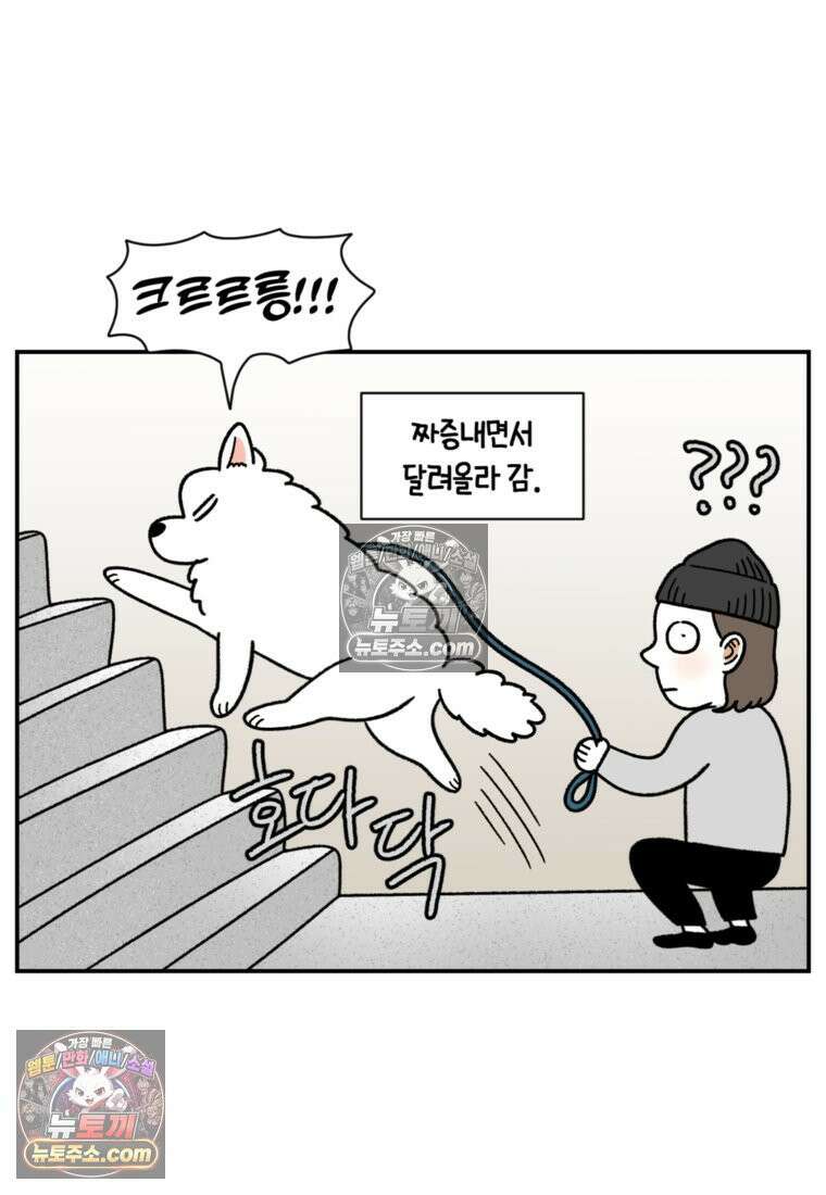 극한견주 시즌2 61화 계단과 개 18