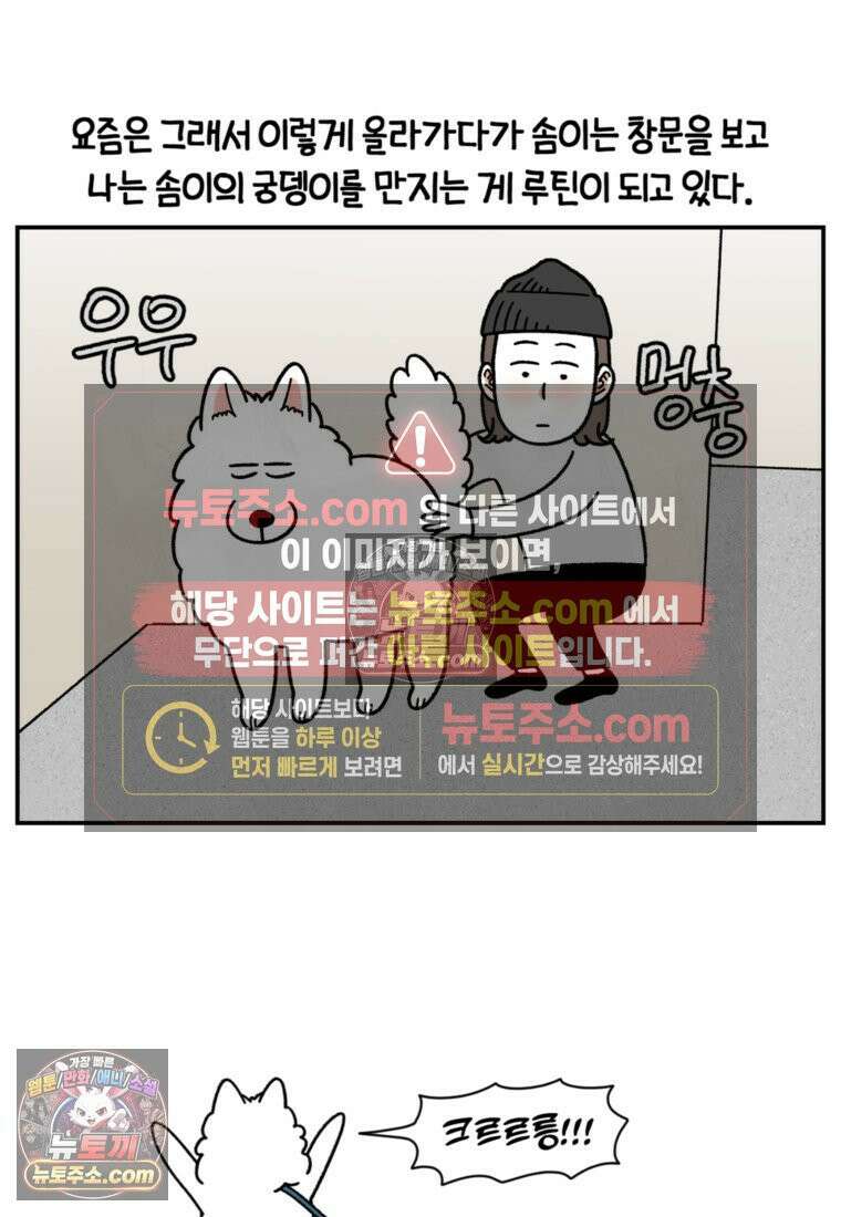 극한견주 시즌2 61화 계단과 개 19