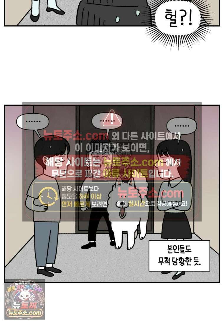 극한견주 시즌2 61화 계단과 개 22