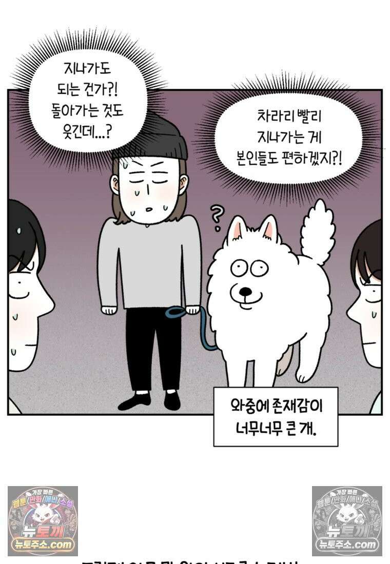 극한견주 시즌2 61화 계단과 개 23