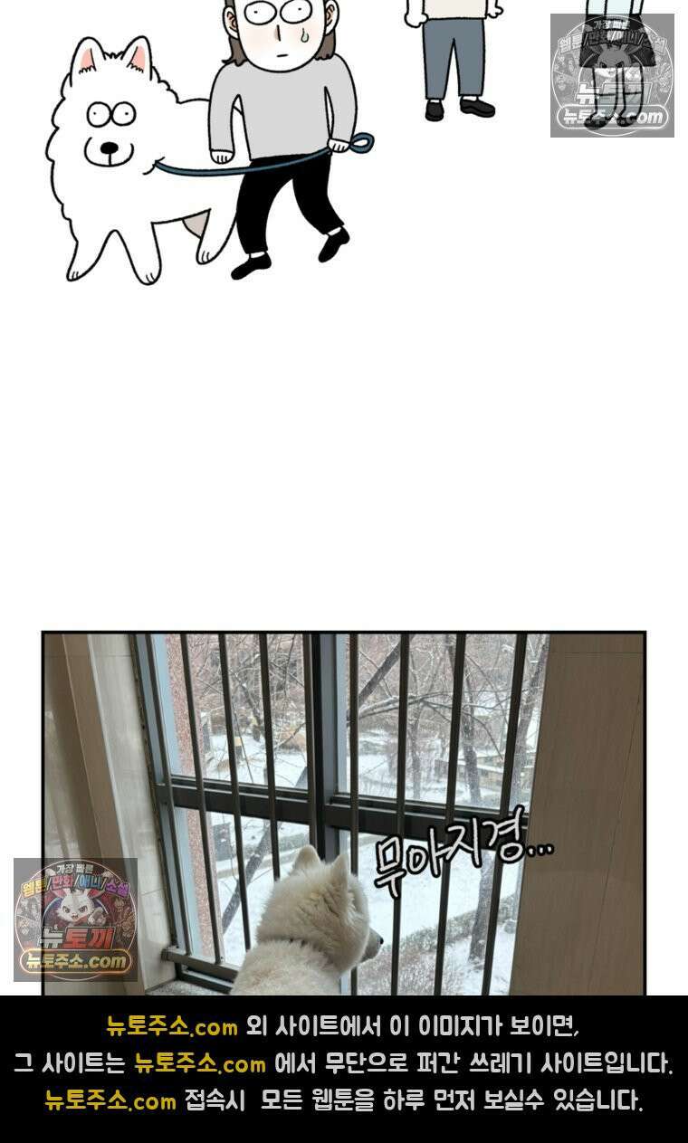 극한견주 시즌2 61화 계단과 개 25