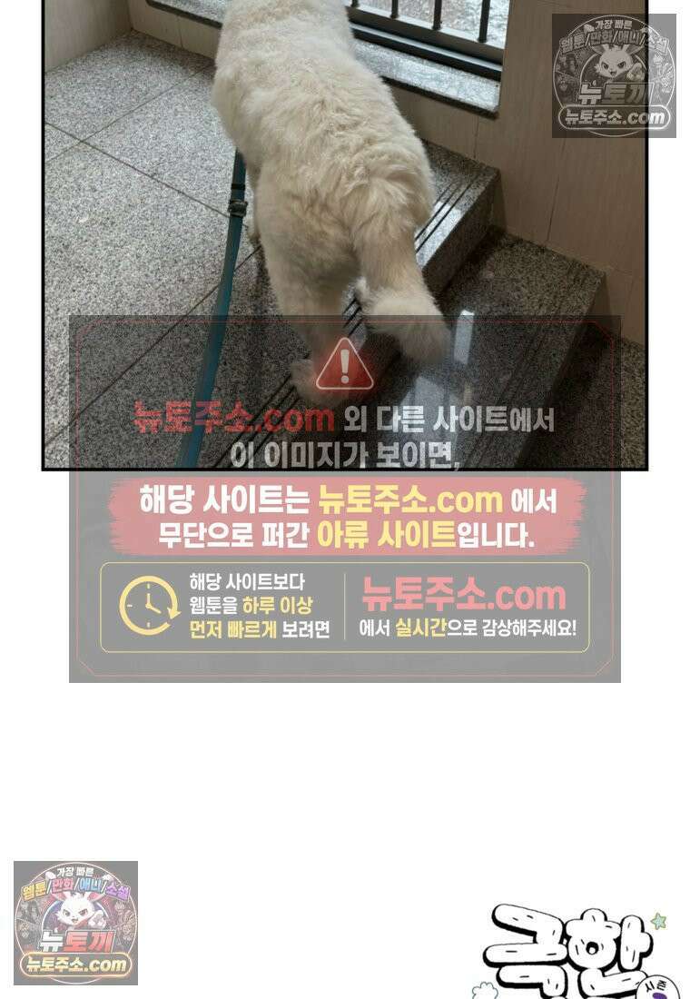 극한견주 시즌2 61화 계단과 개 26