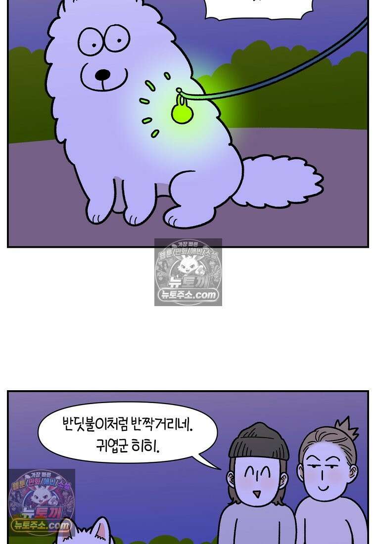 극한견주 시즌2 68화 LED 목걸이 5