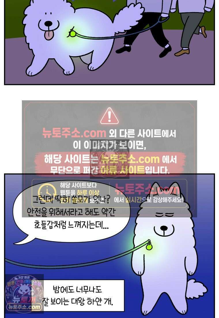 극한견주 시즌2 68화 LED 목걸이 6
