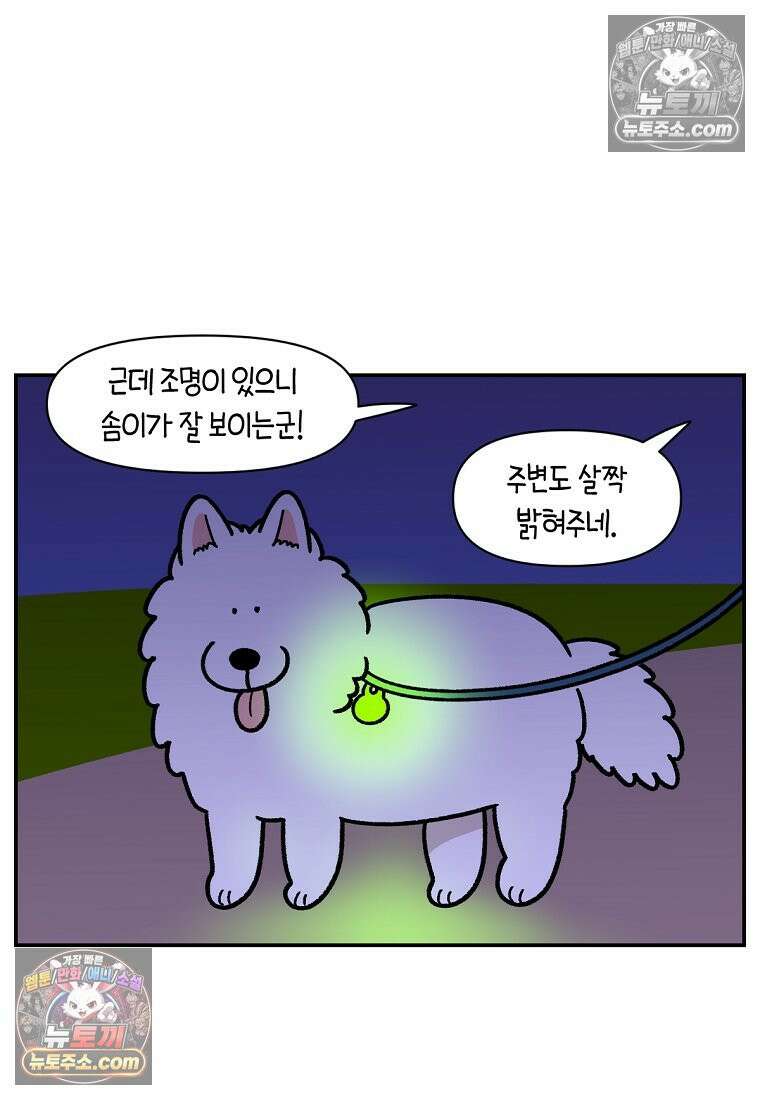 극한견주 시즌2 68화 LED 목걸이 8