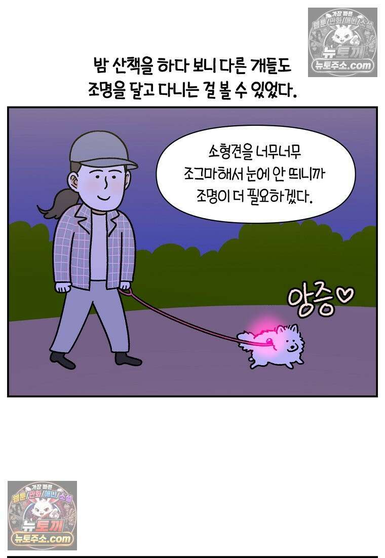 극한견주 시즌2 68화 LED 목걸이 10