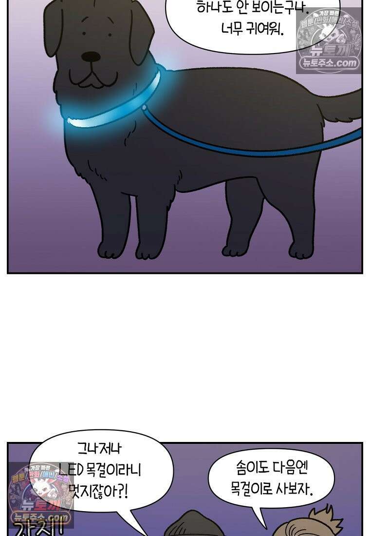 극한견주 시즌2 68화 LED 목걸이 12