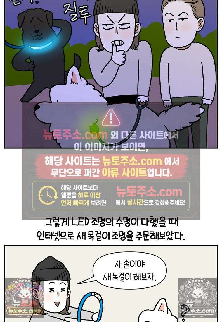 극한견주 시즌2 68화 LED 목걸이 13