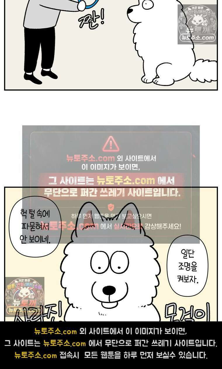 극한견주 시즌2 68화 LED 목걸이 14