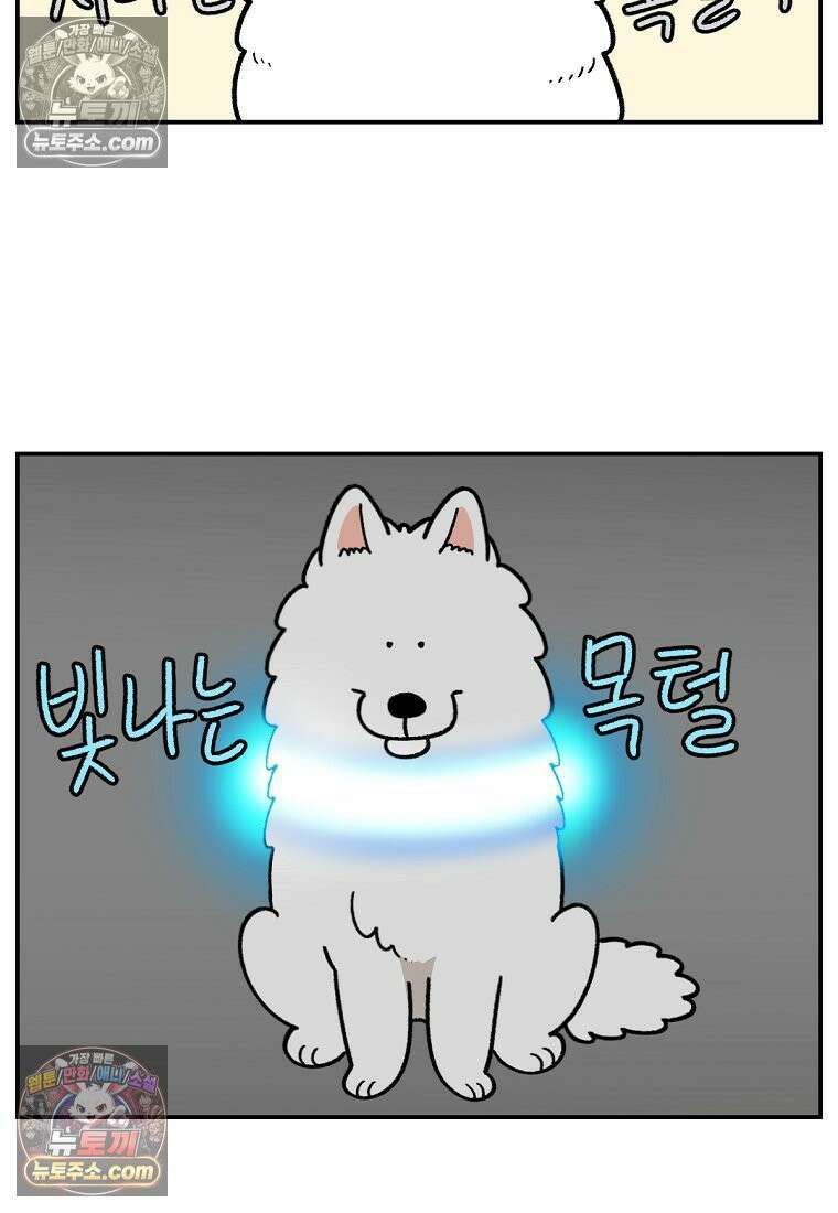 극한견주 시즌2 68화 LED 목걸이 15