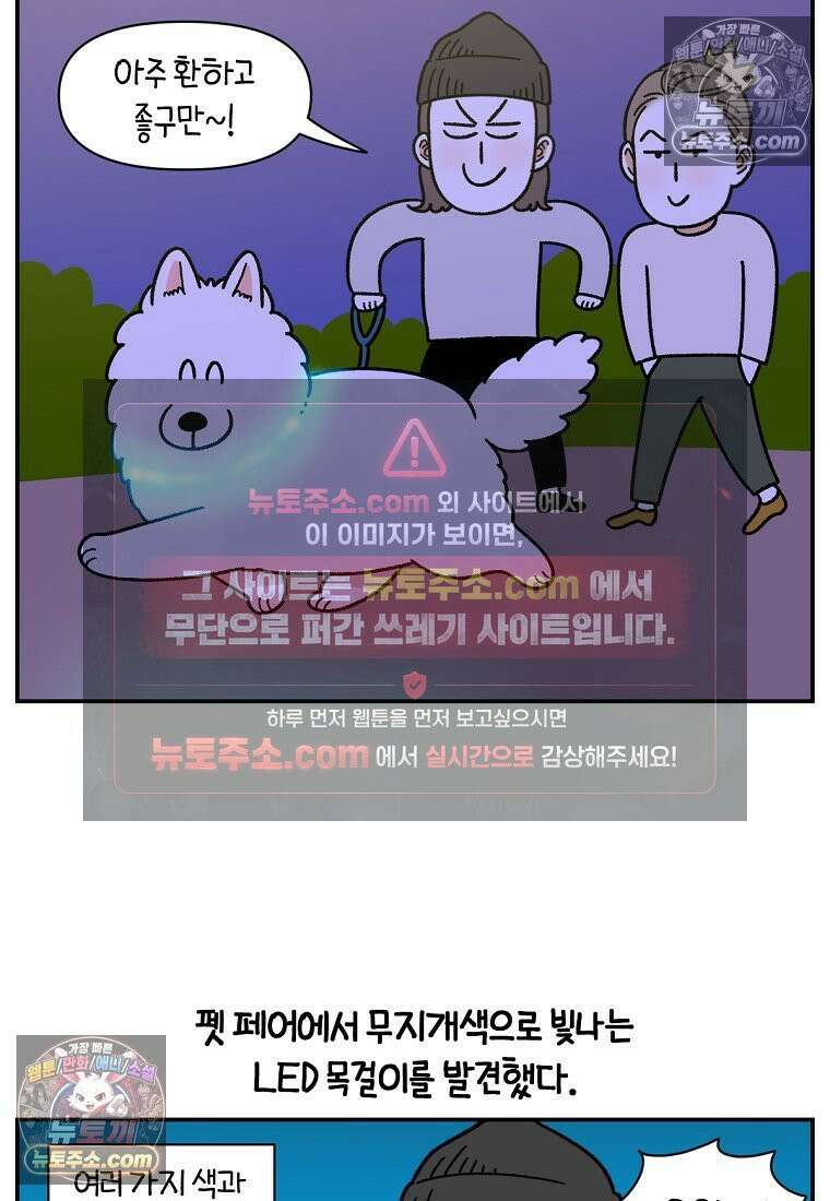 극한견주 시즌2 68화 LED 목걸이 18