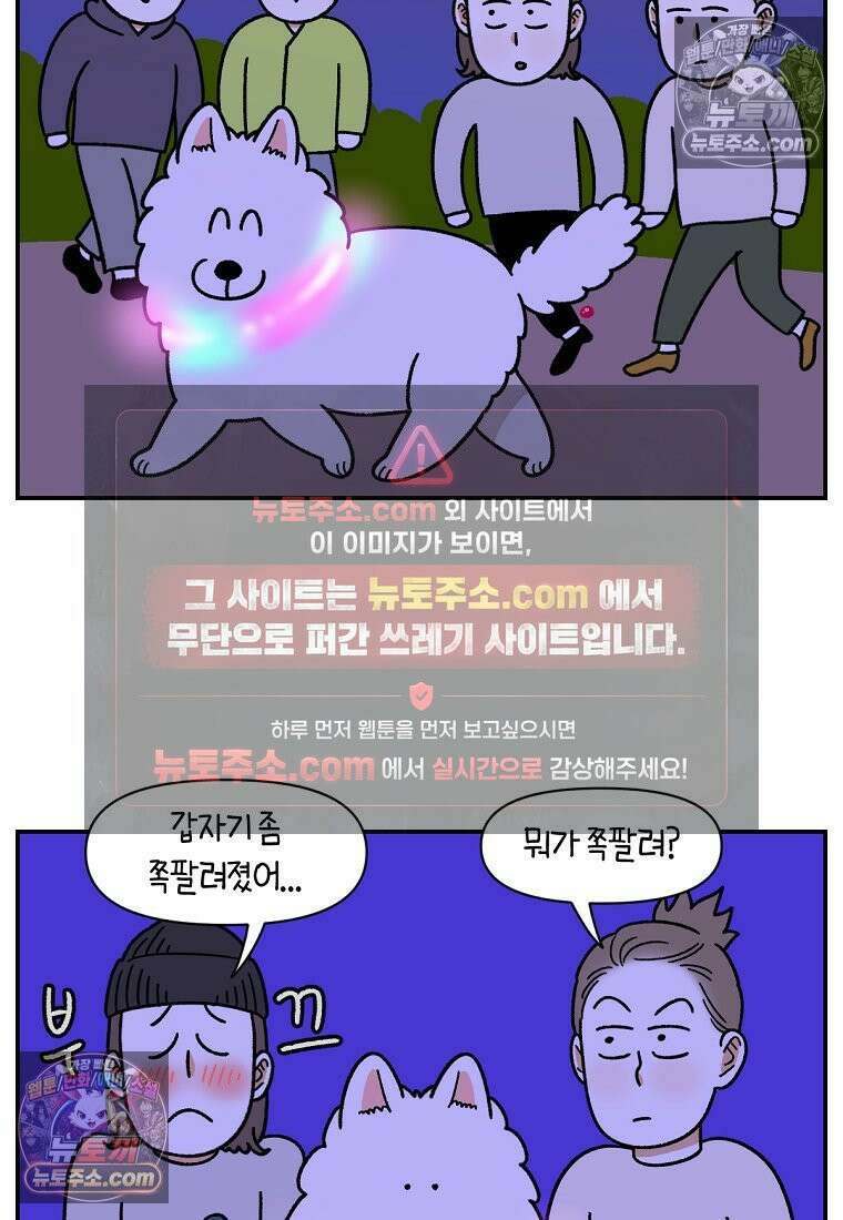 극한견주 시즌2 68화 LED 목걸이 21