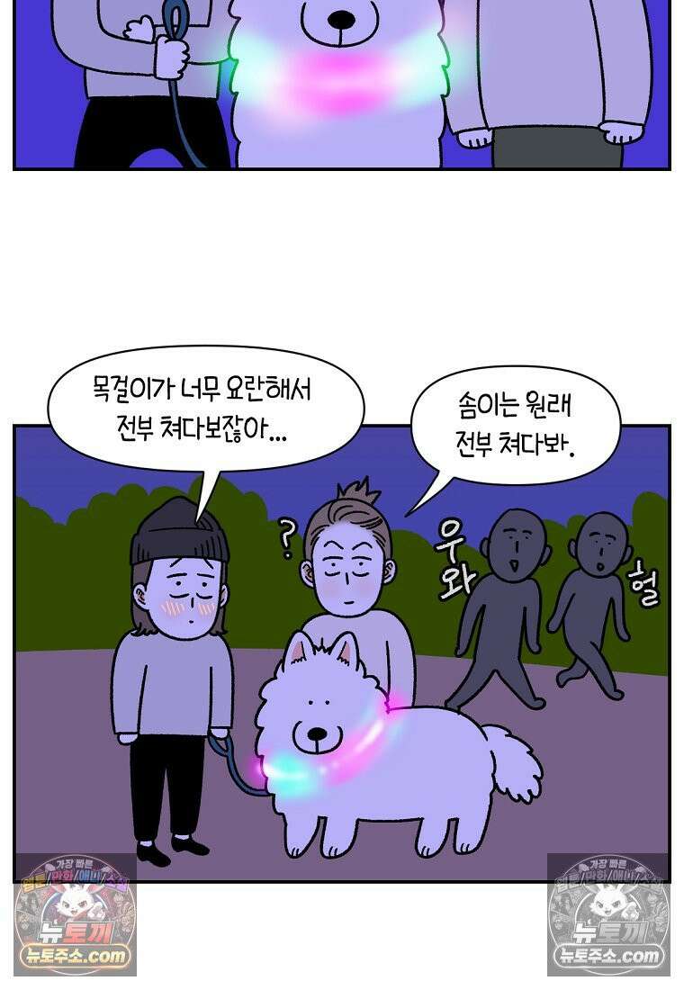 극한견주 시즌2 68화 LED 목걸이 22