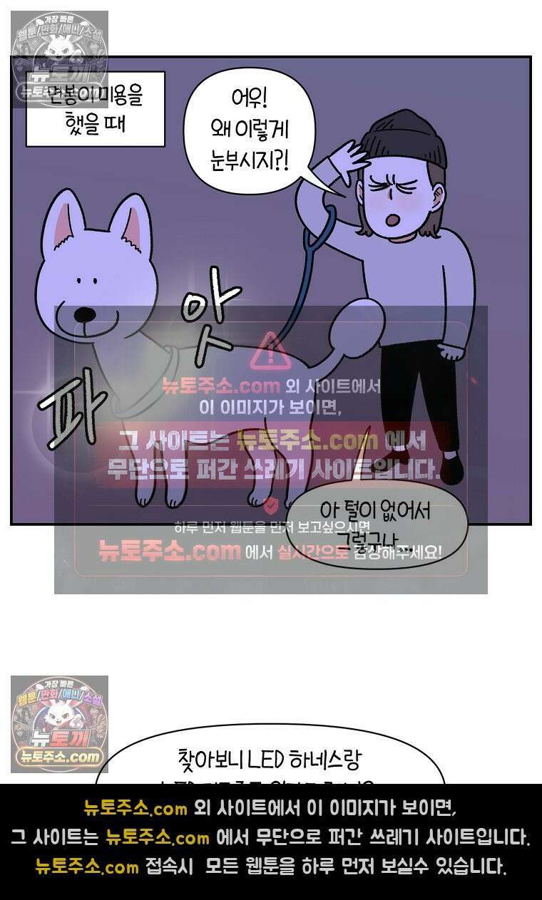 극한견주 시즌2 68화 LED 목걸이 25