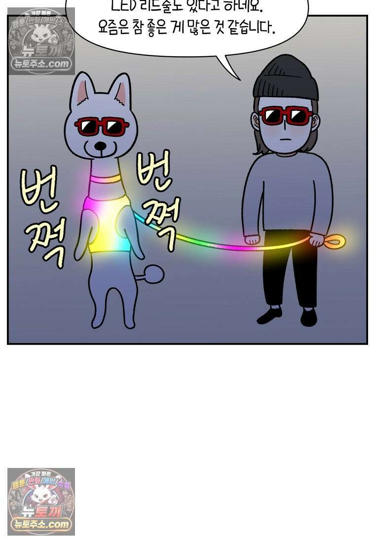극한견주 시즌2 68화 LED 목걸이 26