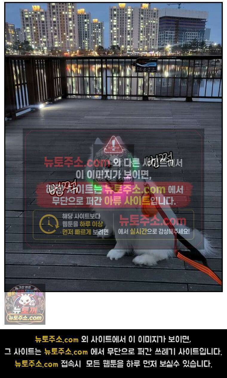 극한견주 시즌2 68화 LED 목걸이 27