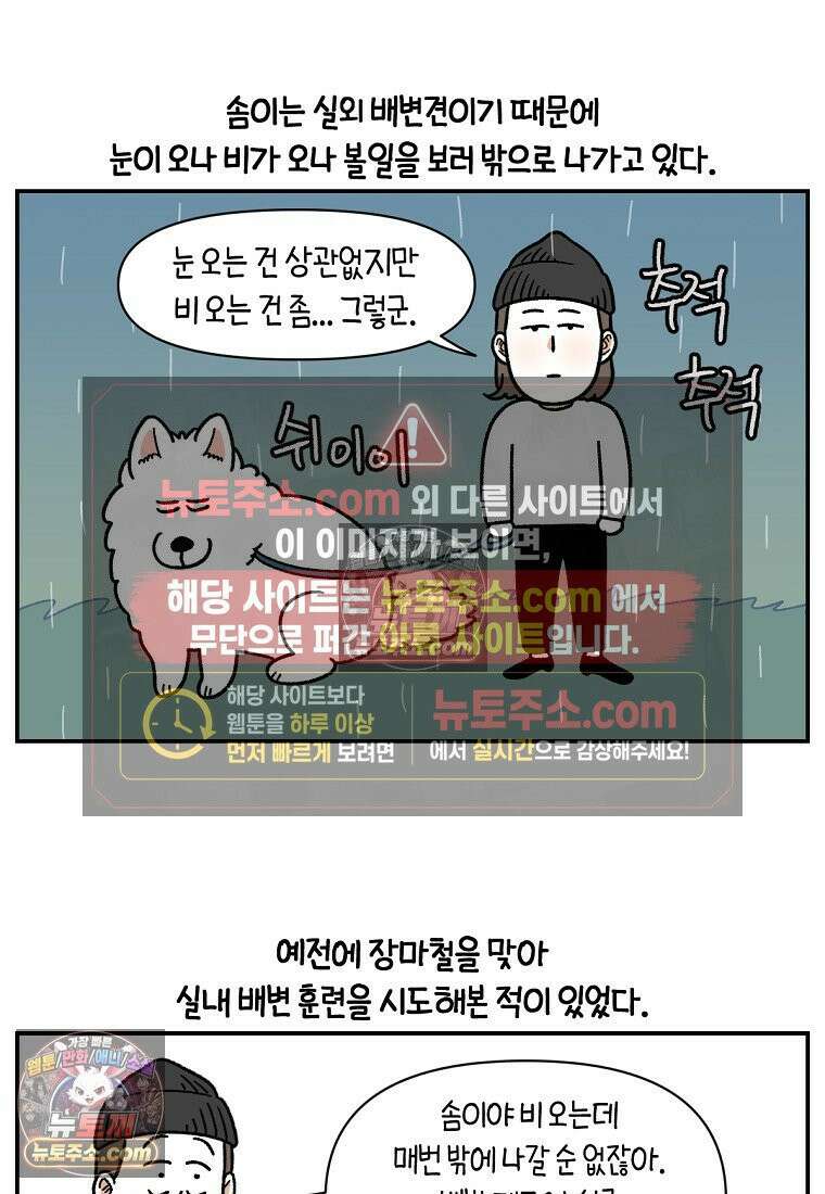 극한견주 시즌2 73화 비 오는 날의 배변 산책 2