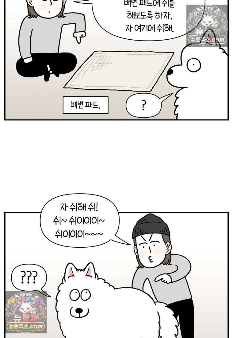 극한견주 시즌2 73화 비 오는 날의 배변 산책 3