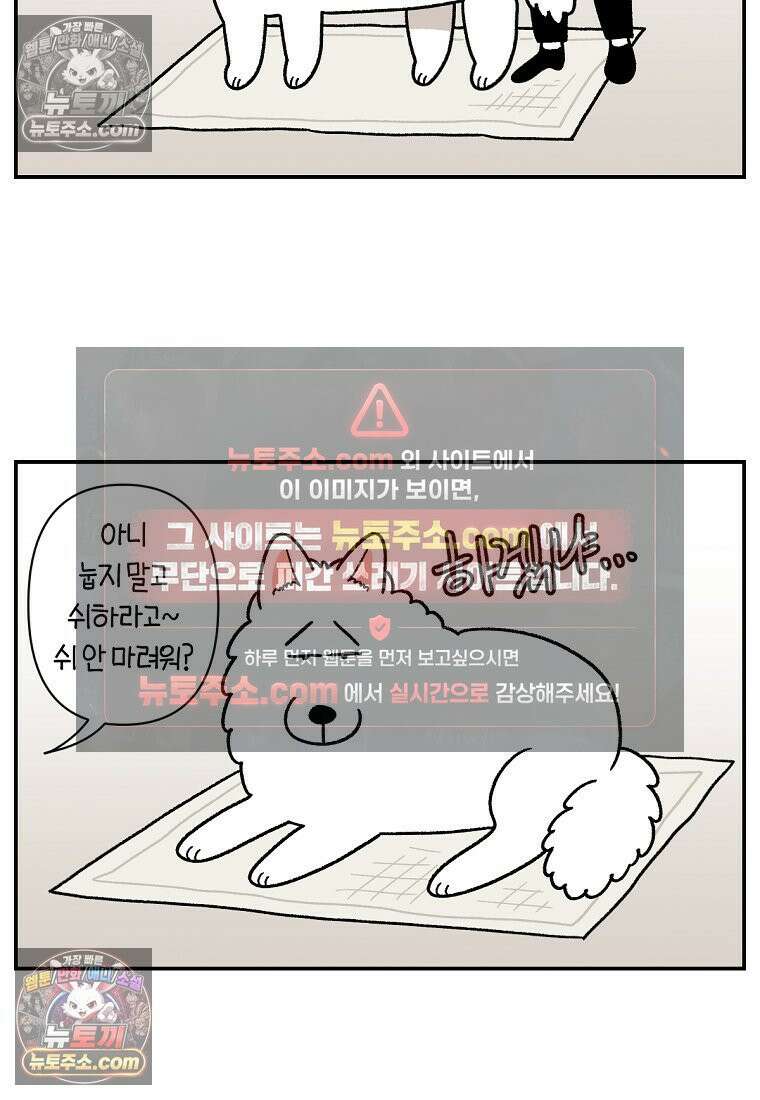 극한견주 시즌2 73화 비 오는 날의 배변 산책 4