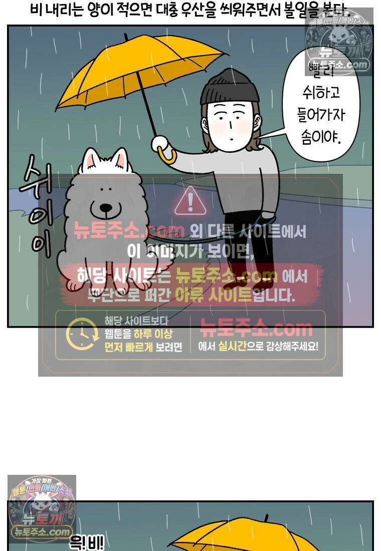 극한견주 시즌2 73화 비 오는 날의 배변 산책 6