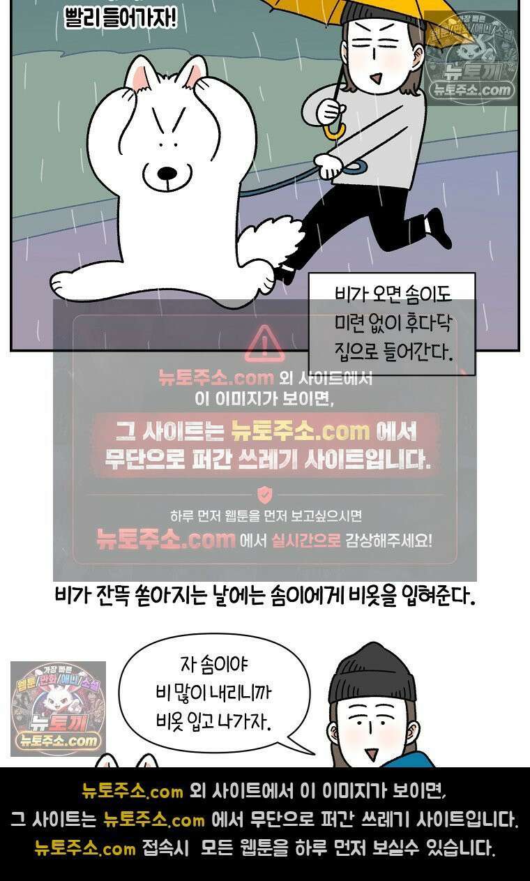극한견주 시즌2 73화 비 오는 날의 배변 산책 7