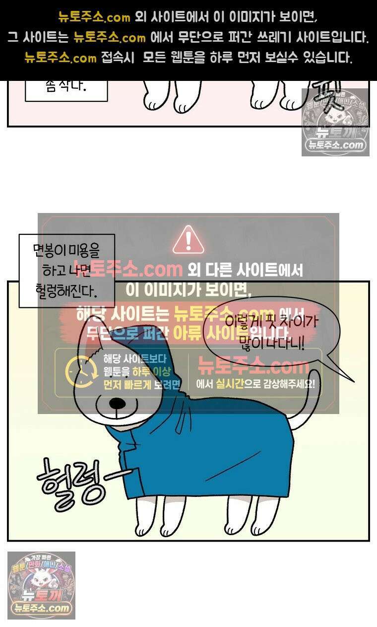 극한견주 시즌2 73화 비 오는 날의 배변 산책 9
