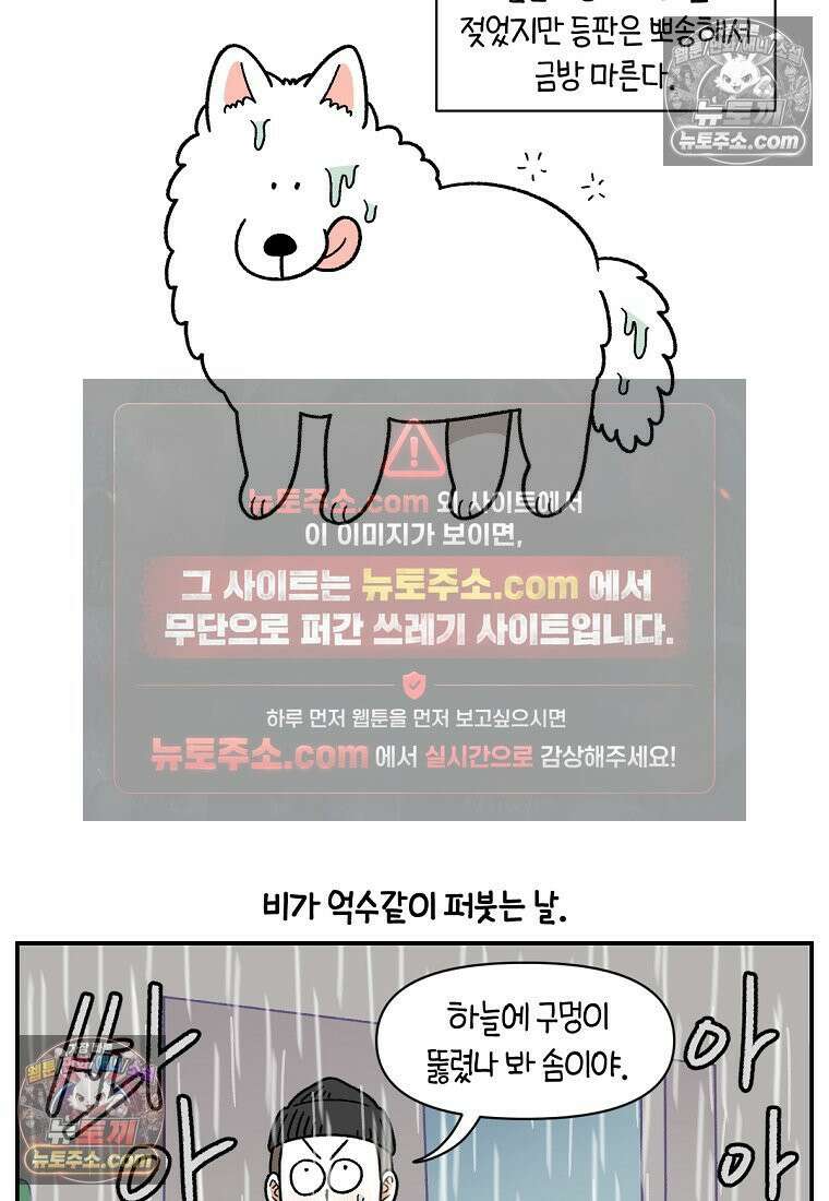 극한견주 시즌2 73화 비 오는 날의 배변 산책 11