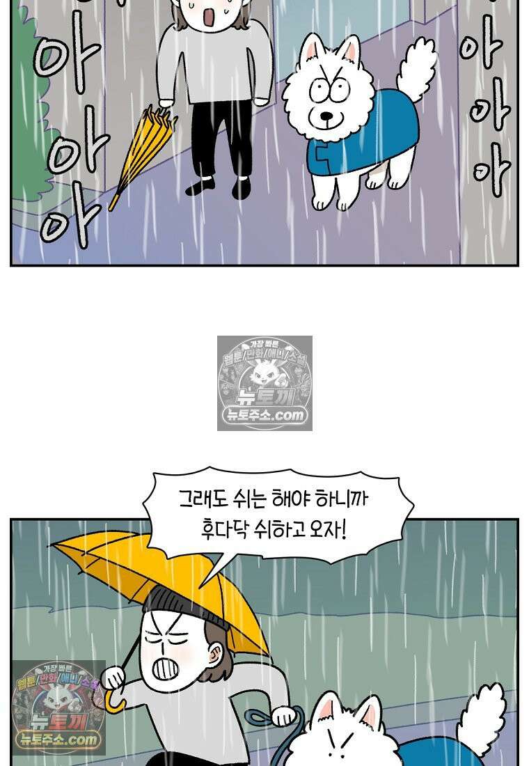 극한견주 시즌2 73화 비 오는 날의 배변 산책 12