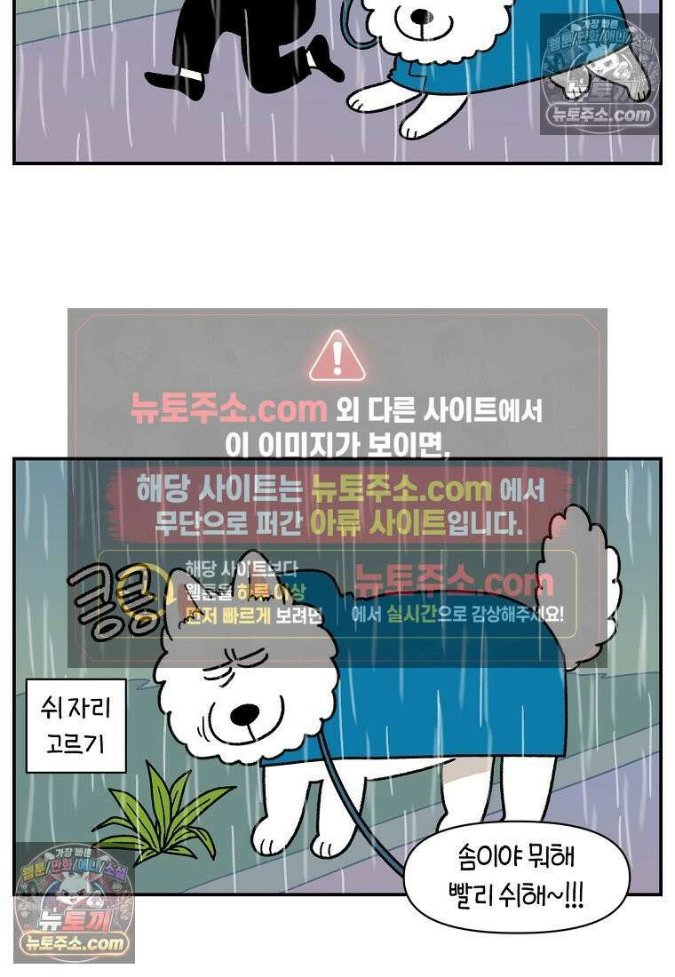 극한견주 시즌2 73화 비 오는 날의 배변 산책 13