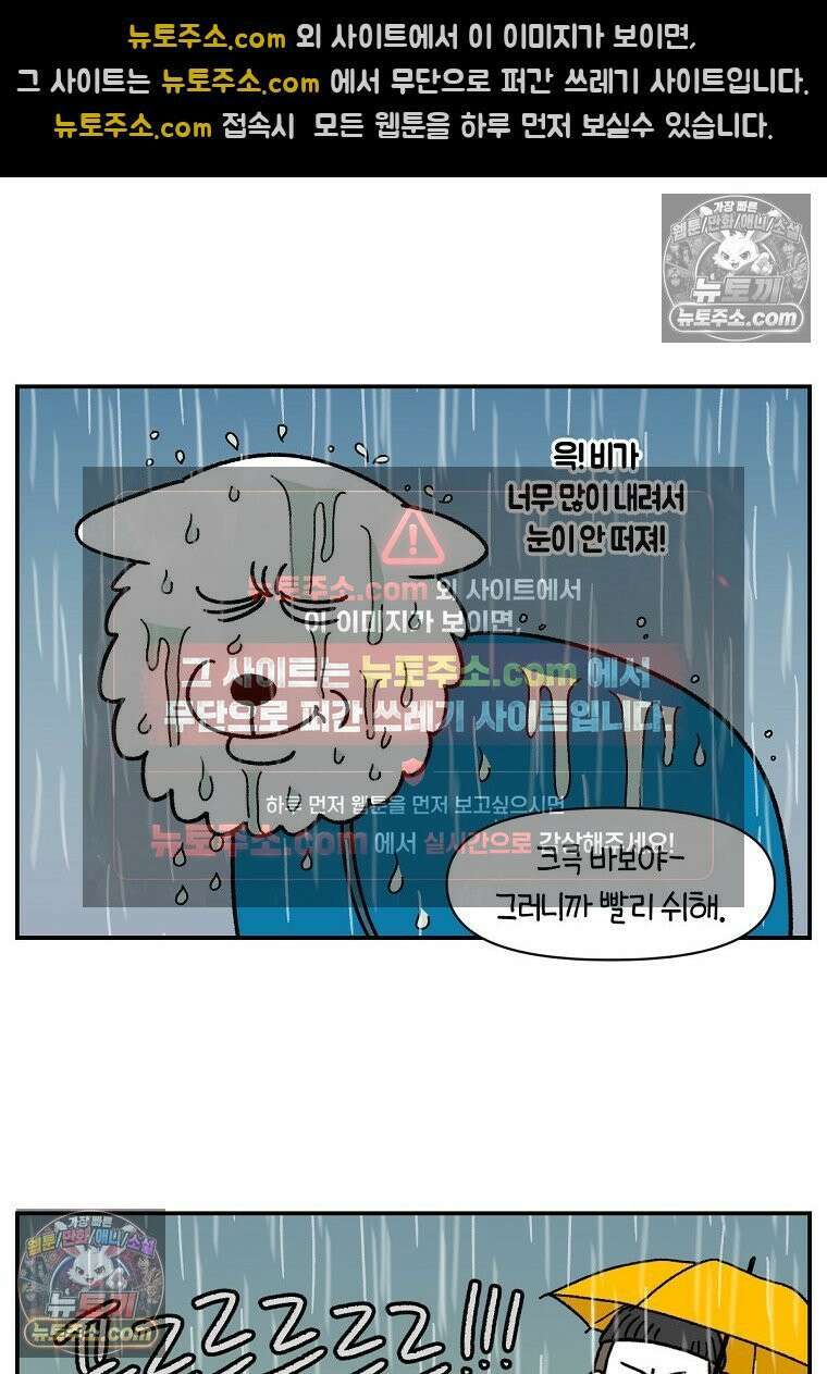 극한견주 시즌2 73화 비 오는 날의 배변 산책 14