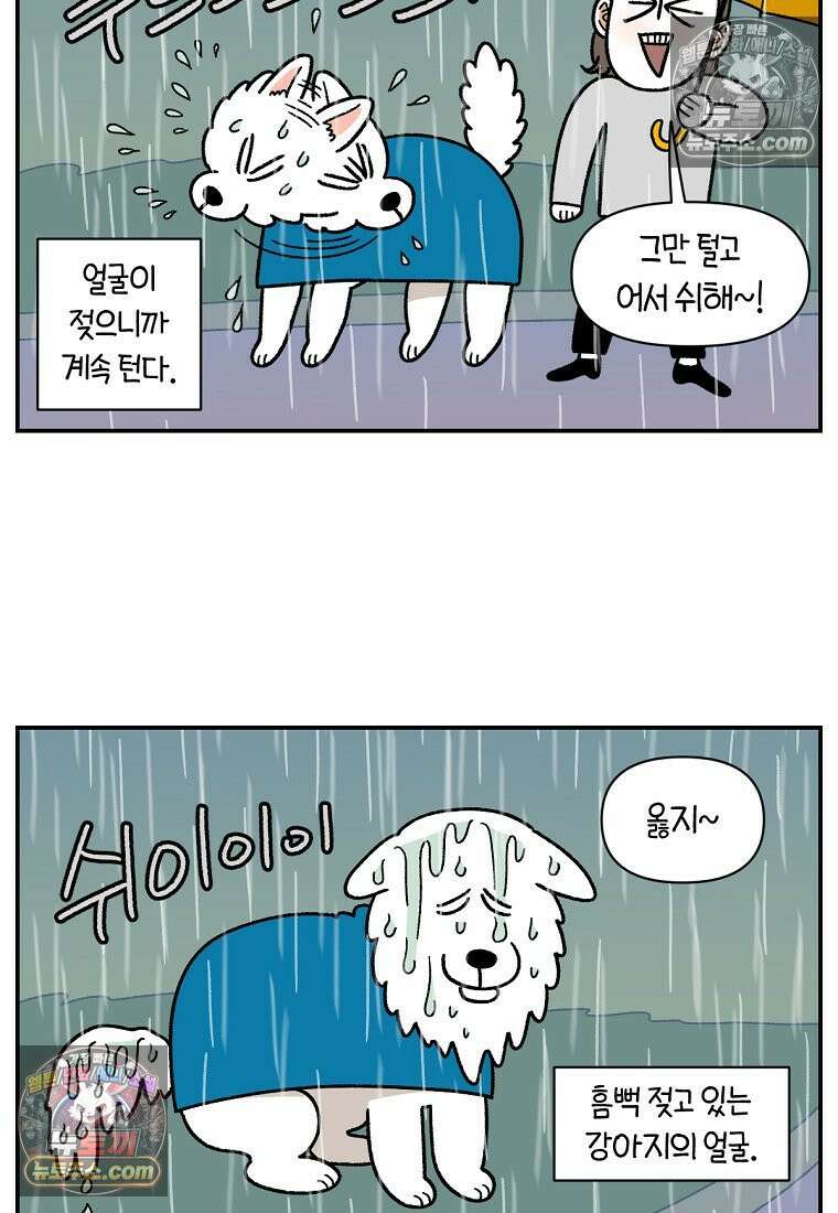 극한견주 시즌2 73화 비 오는 날의 배변 산책 15