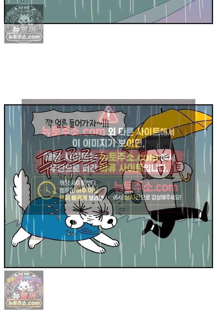 극한견주 시즌2 73화 비 오는 날의 배변 산책 16