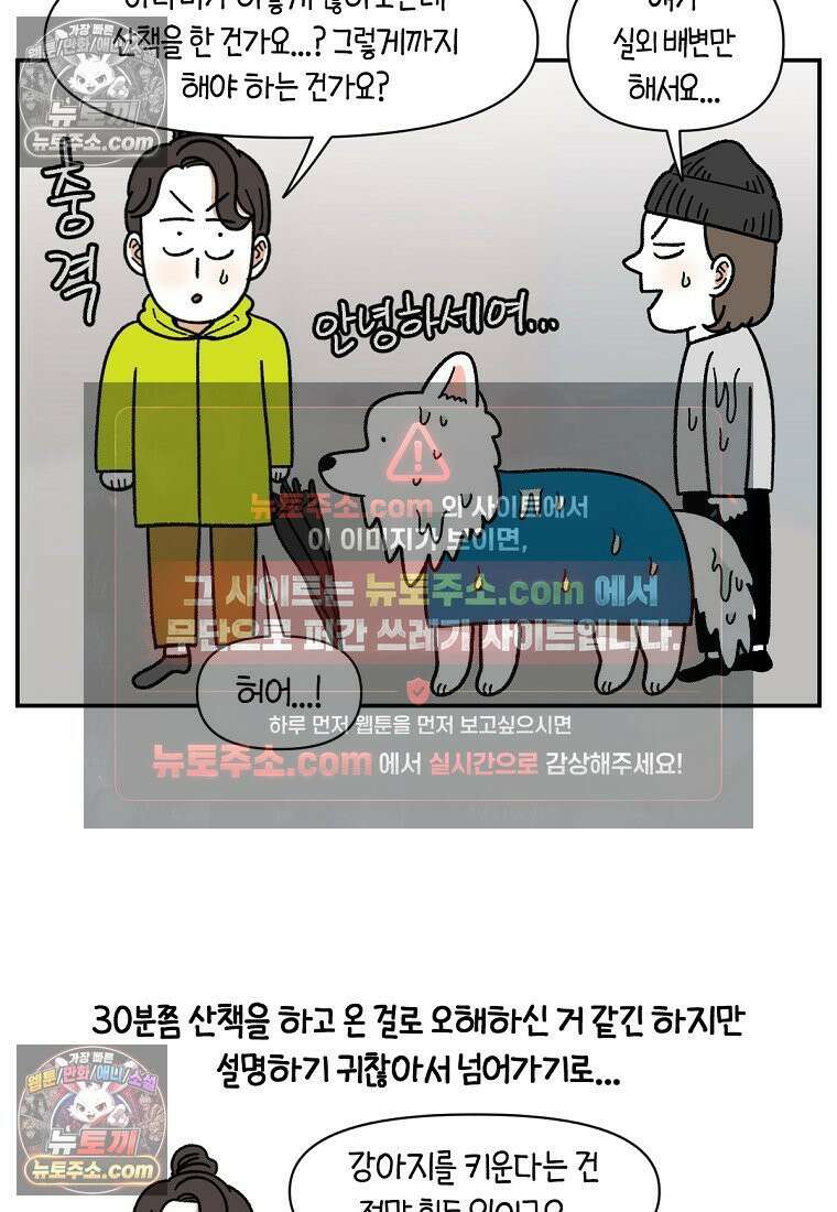극한견주 시즌2 73화 비 오는 날의 배변 산책 18