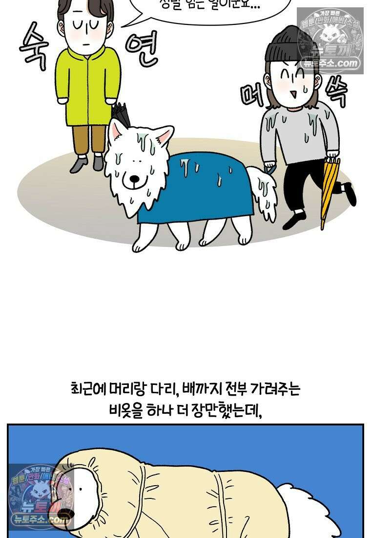 극한견주 시즌2 73화 비 오는 날의 배변 산책 19