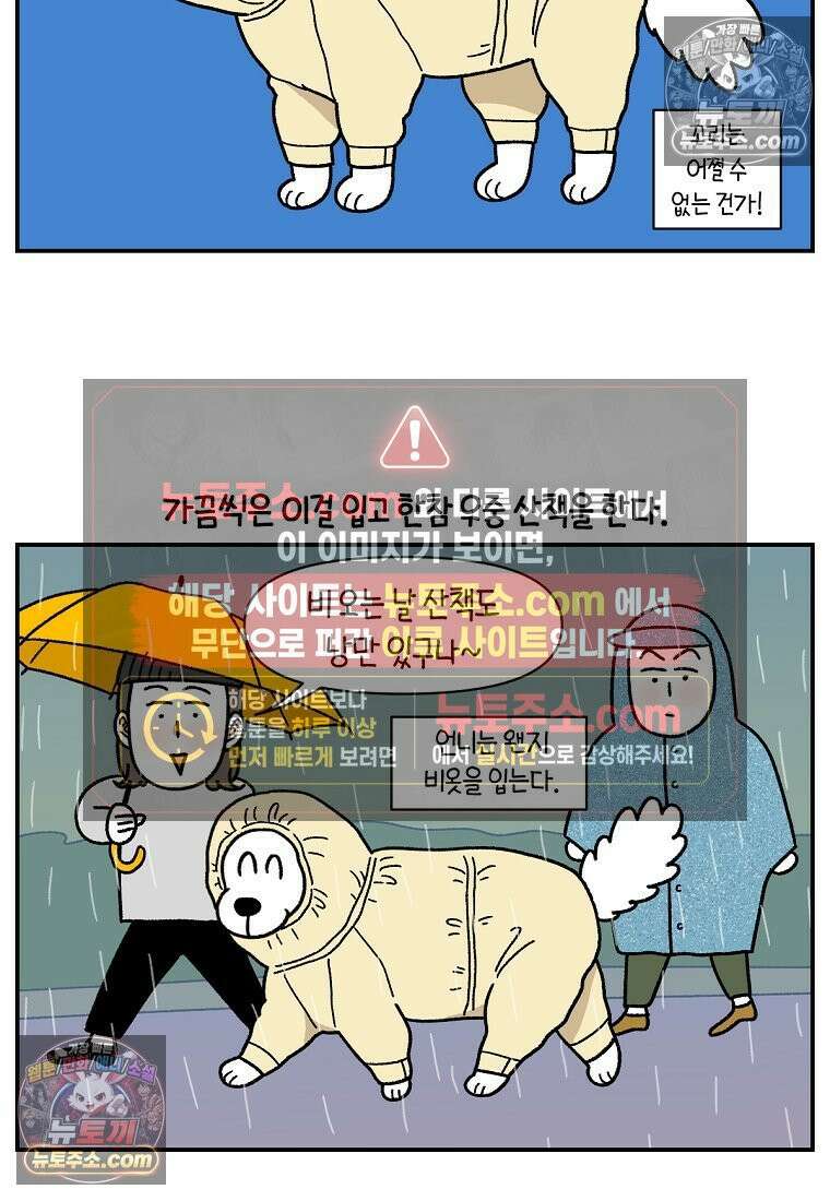 극한견주 시즌2 73화 비 오는 날의 배변 산책 20