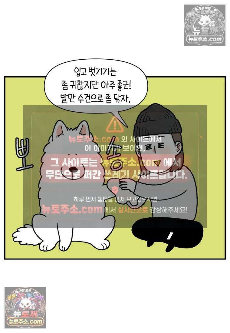 극한견주 시즌2 73화 비 오는 날의 배변 산책 21