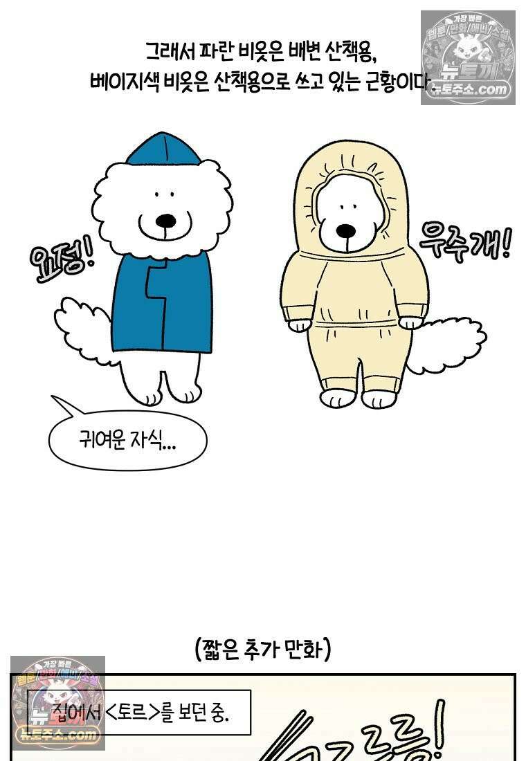 극한견주 시즌2 73화 비 오는 날의 배변 산책 22
