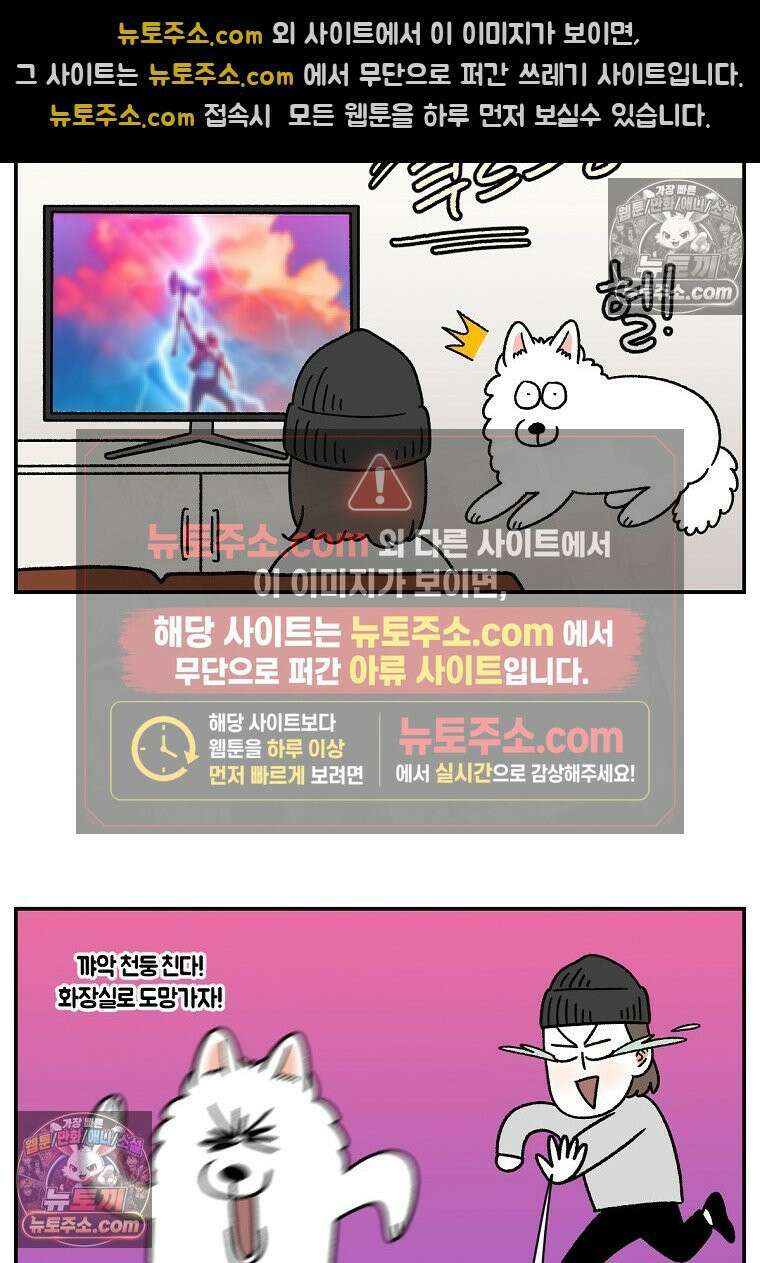 극한견주 시즌2 73화 비 오는 날의 배변 산책 23